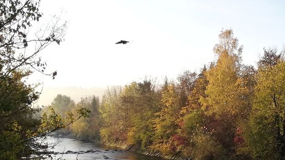 Bildqualität Huawei P20 lite