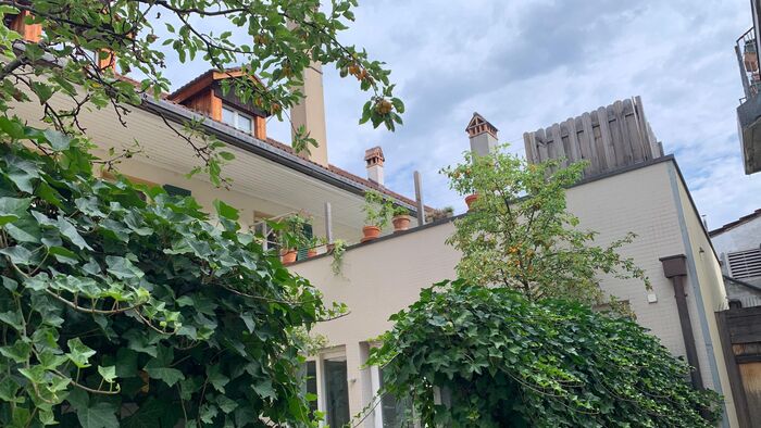 Die stillen Hinterhöfe von Murten - murten.unsereregion.ch