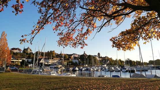 Bildqualität Huawei P20 lite