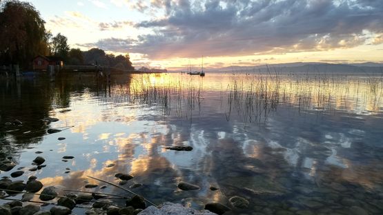 Bildqualität Huawei P20 lite