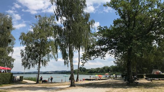 Avenches Camping