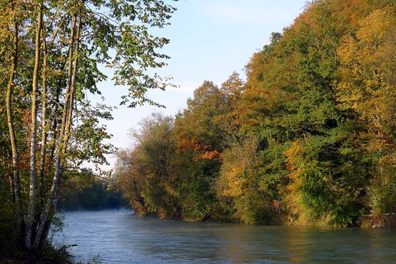 Wanderung entlang der Saane