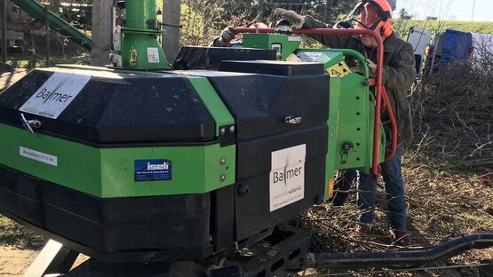 Vereinsmitglieder machen den Garten der Sunneblueme startklar! - murten