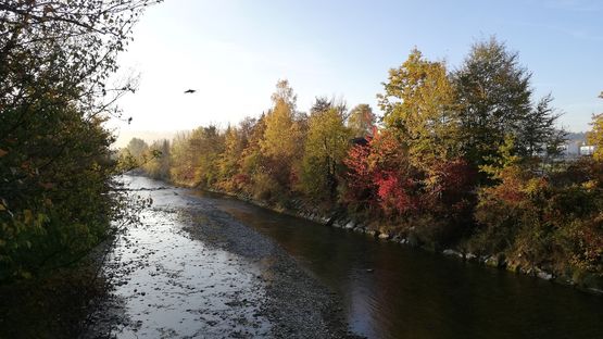 Bildqualität Huawei P20 lite