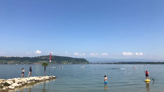 Pantschau