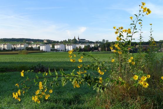 Wanderung entlang der Saane